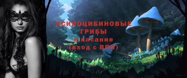 дурь Алексеевка